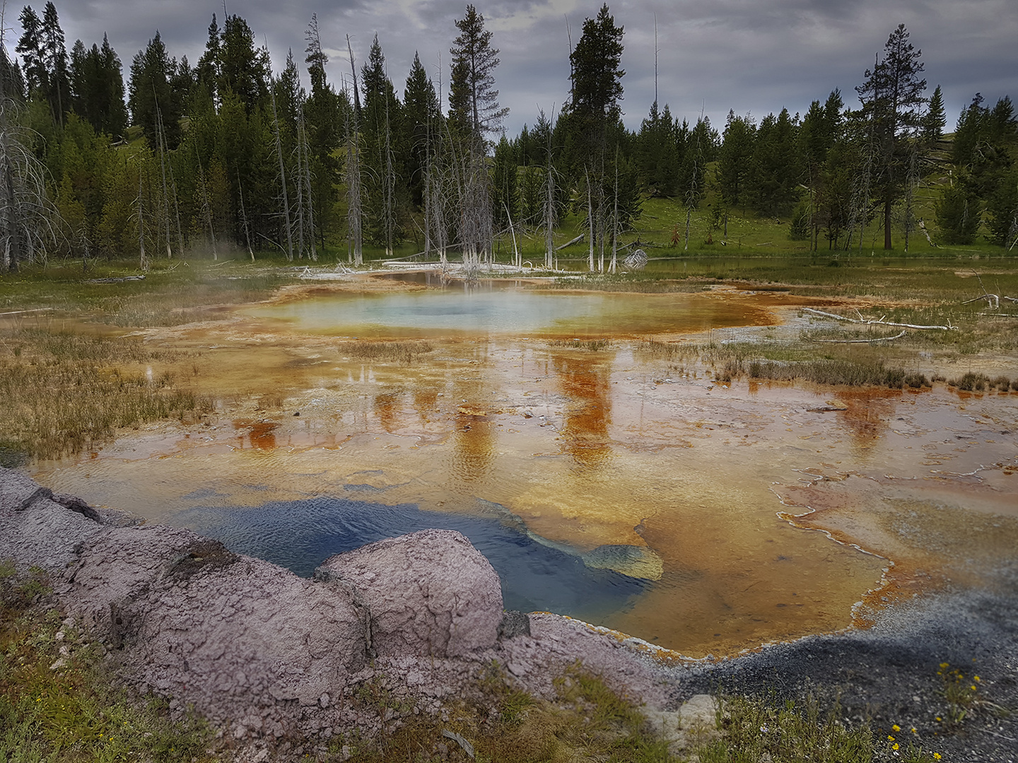 Yellowstone