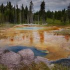 Yellowstone