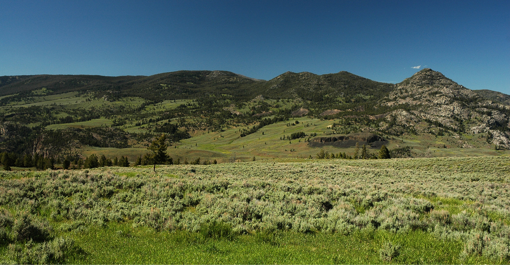 Yellowstone 9