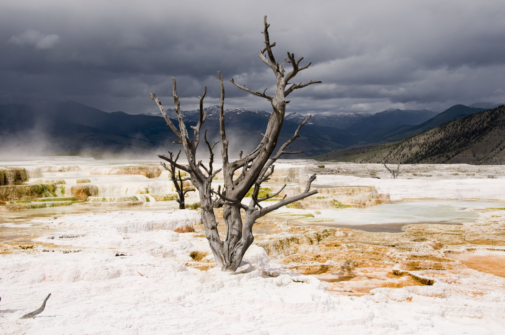 Yellowstone