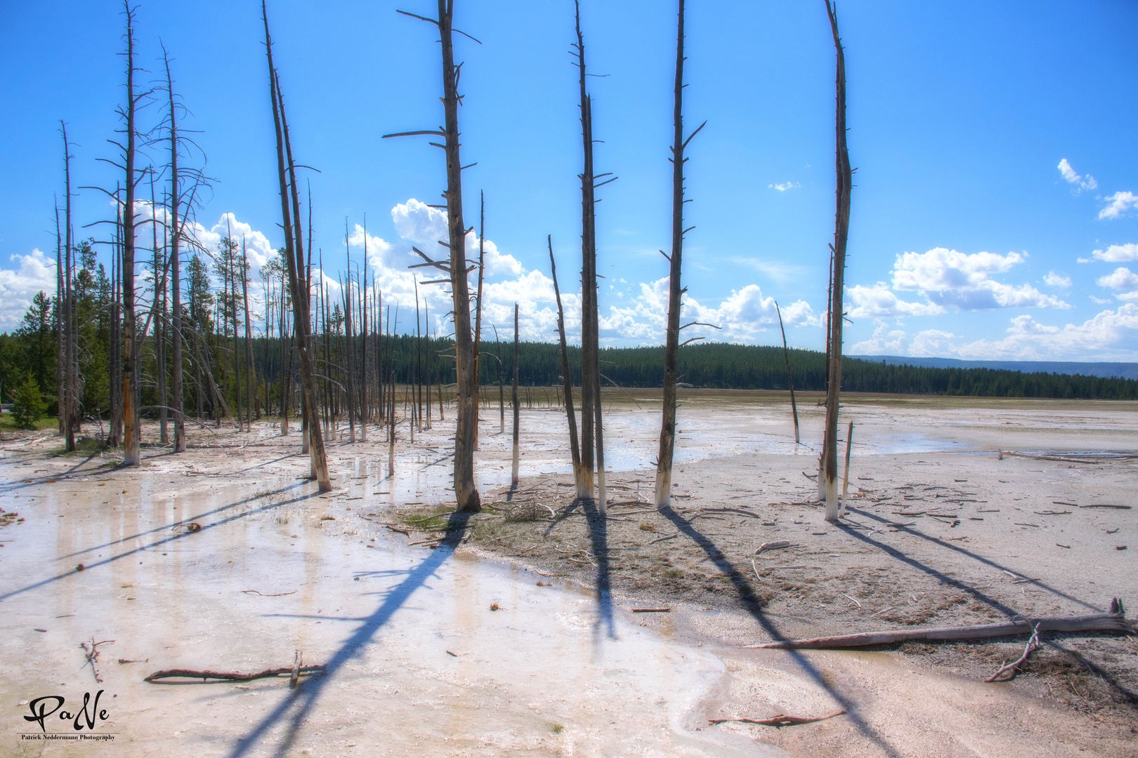 Yellowstone