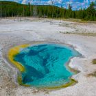 Yellowstone