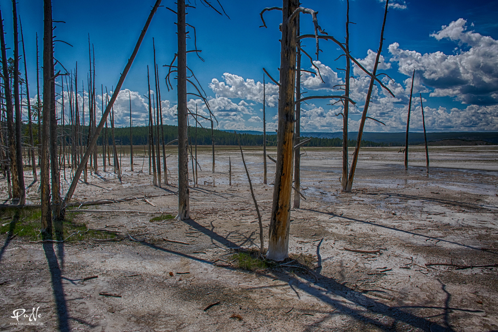 Yellowstone