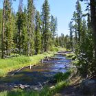 Yellowstone - abseits der Touristenströme