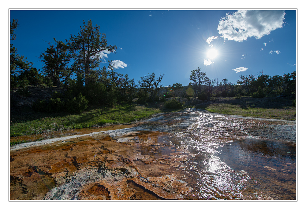 Yellowstone