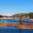 Yellowstone