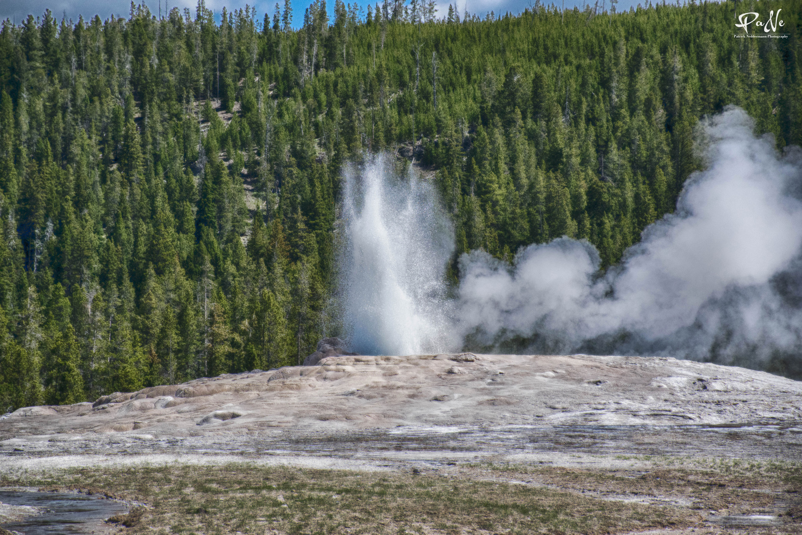 Yellowstone