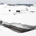 Yellowstone