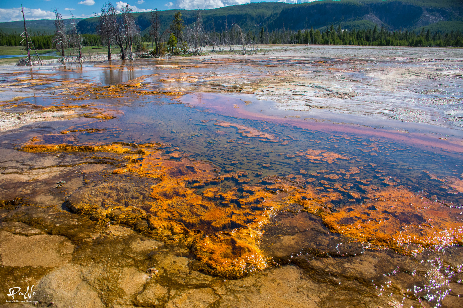 Yellowstone