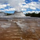 Yellowstone - Castle Geyser