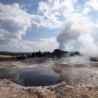 Yellowstone - Castle Geysir