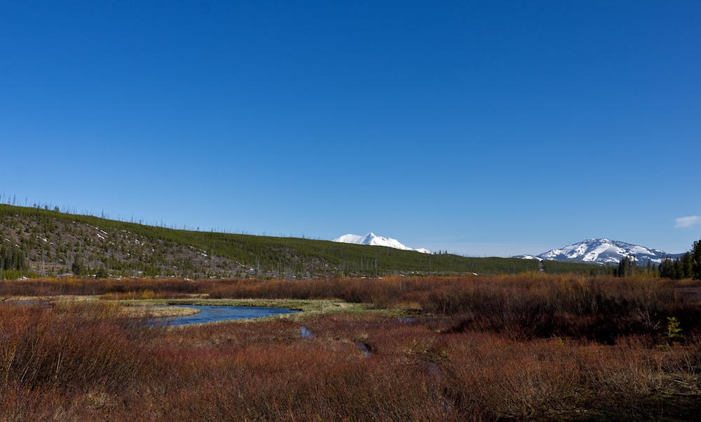 Yellowstone erwacht (VI)