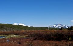 Yellowstone erwacht (VII)