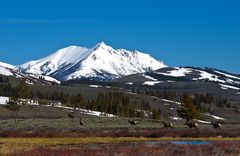 Yellowstone erwacht (VIII)