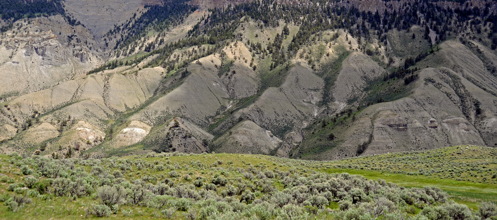 Yellowstone - es grünst so grün -