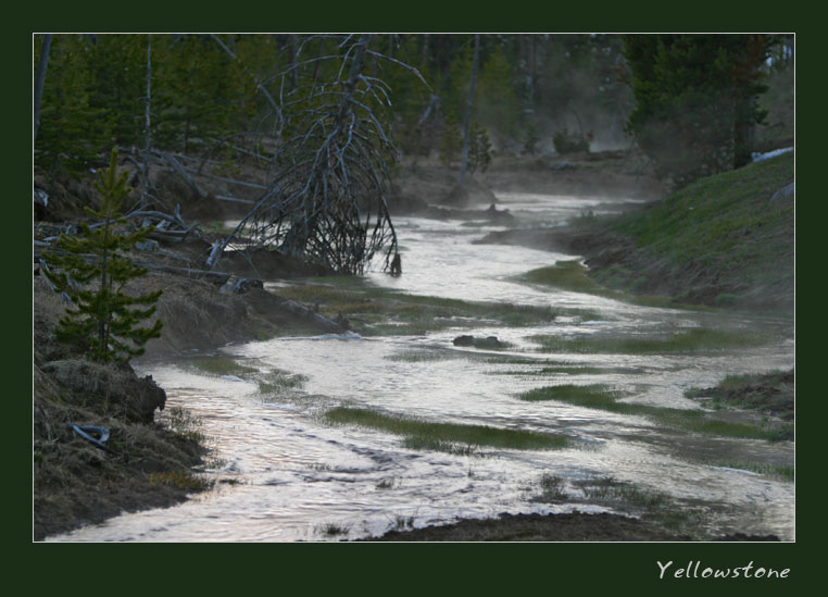 Yellowstone