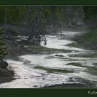 Yellowstone