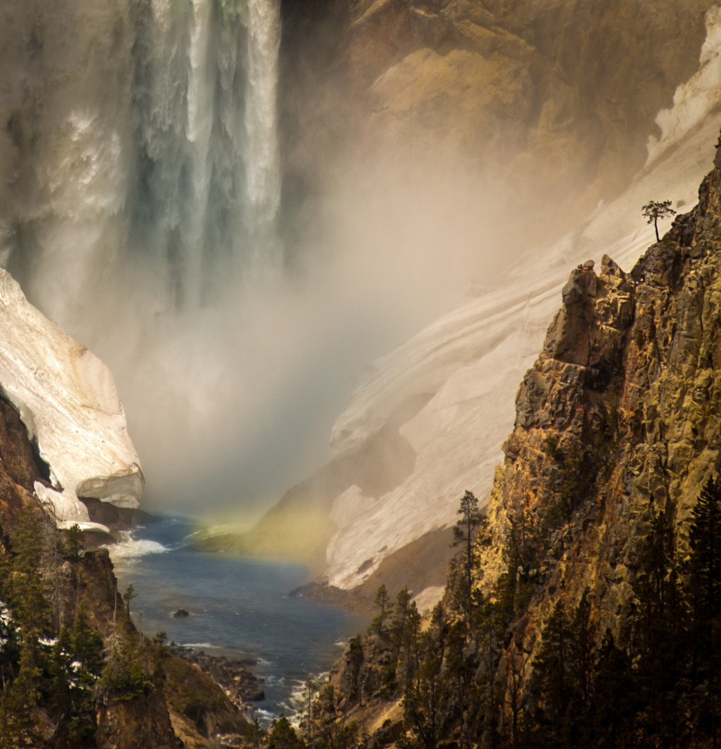 Yellowstone Fall