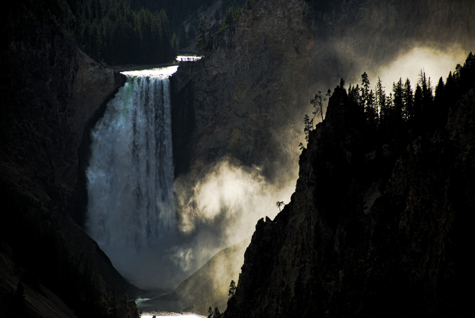 Yellowstone Falls