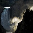 Yellowstone Falls