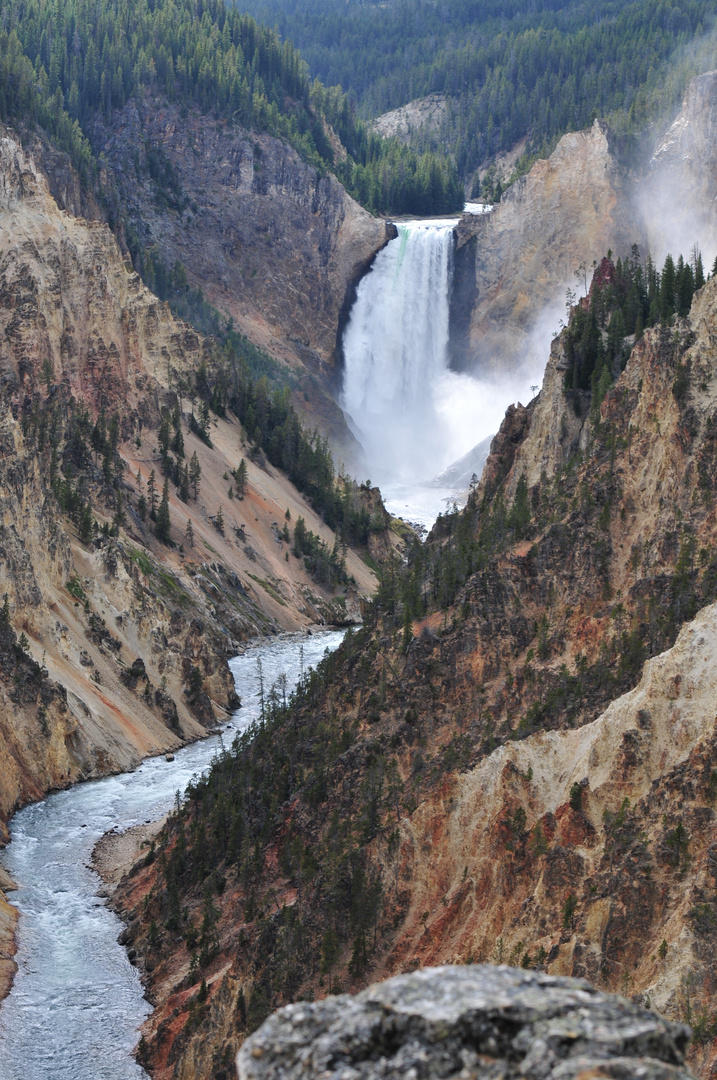 Yellowstone Falls