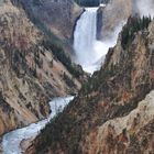 Yellowstone Falls