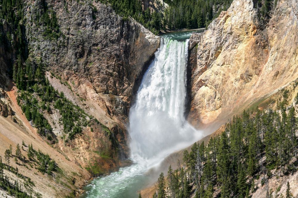 Yellowstone falls