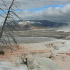 Yellowstone