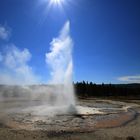 Yellowstone Geyser