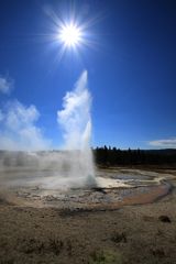 Yellowstone Geyser