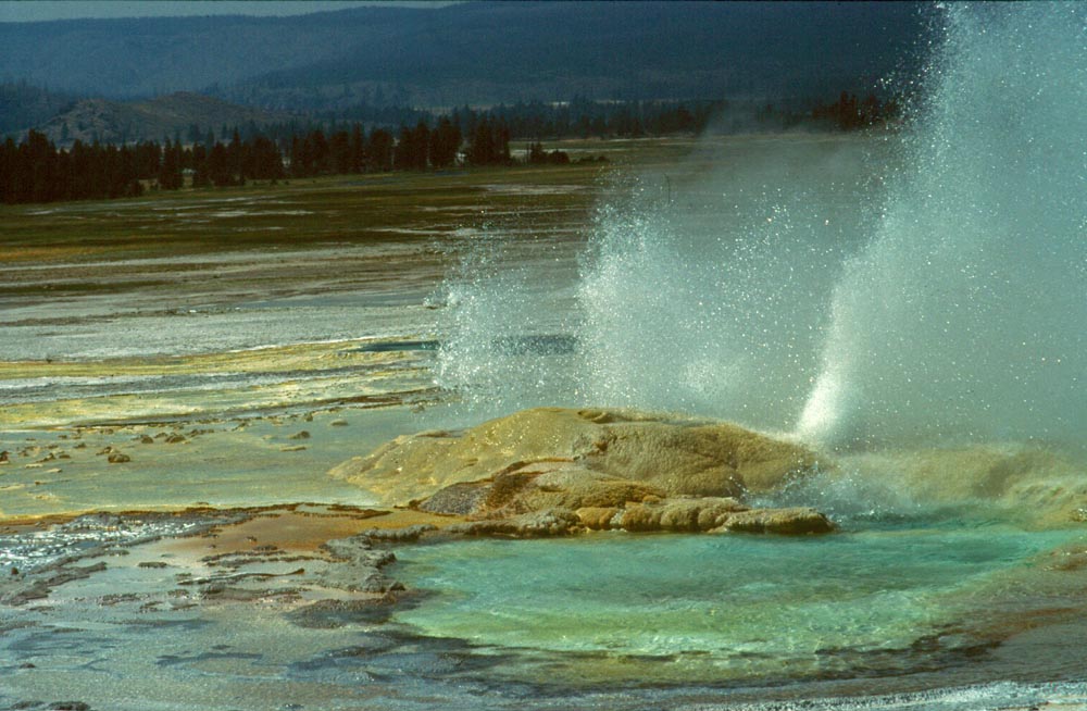 Yellowstone Geyser