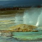 Yellowstone Geyser