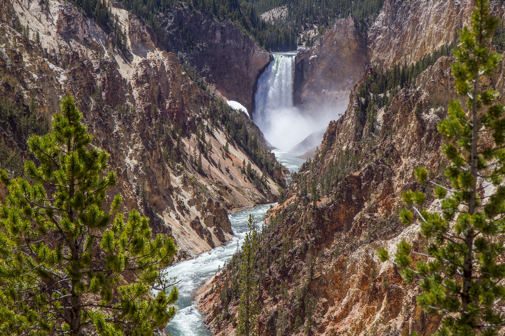 Yellowstone - Grand Canyon of the Yellowstone