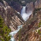 Yellowstone - Grand Canyon of the Yellowstone