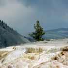 Yellowstone Hotsprings