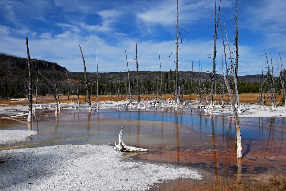 Yellowstone I