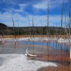 Yellowstone I