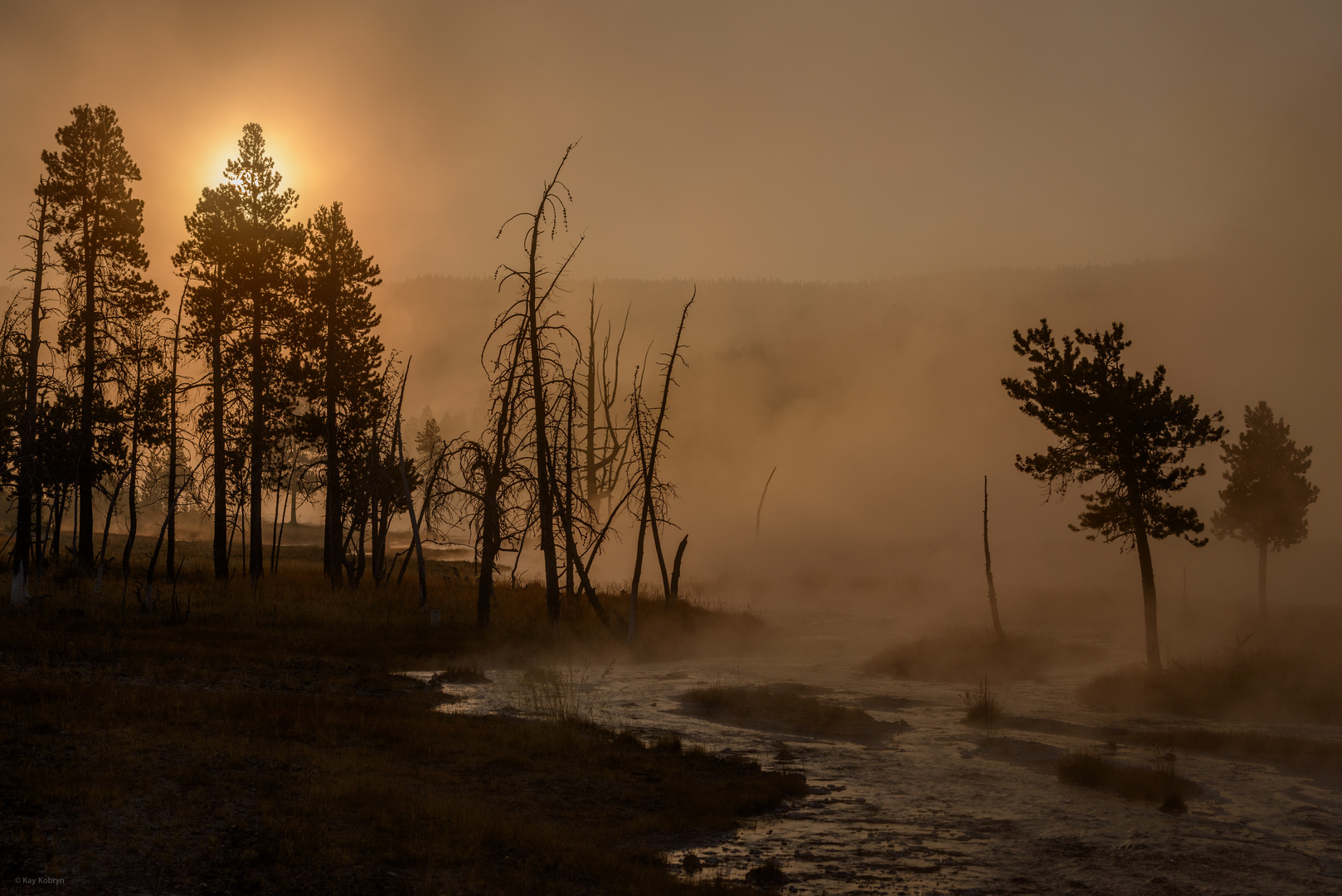 Yellowstone III