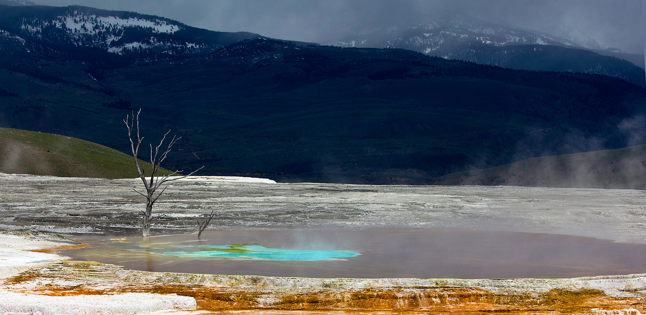 Yellowstone im Frühjahr