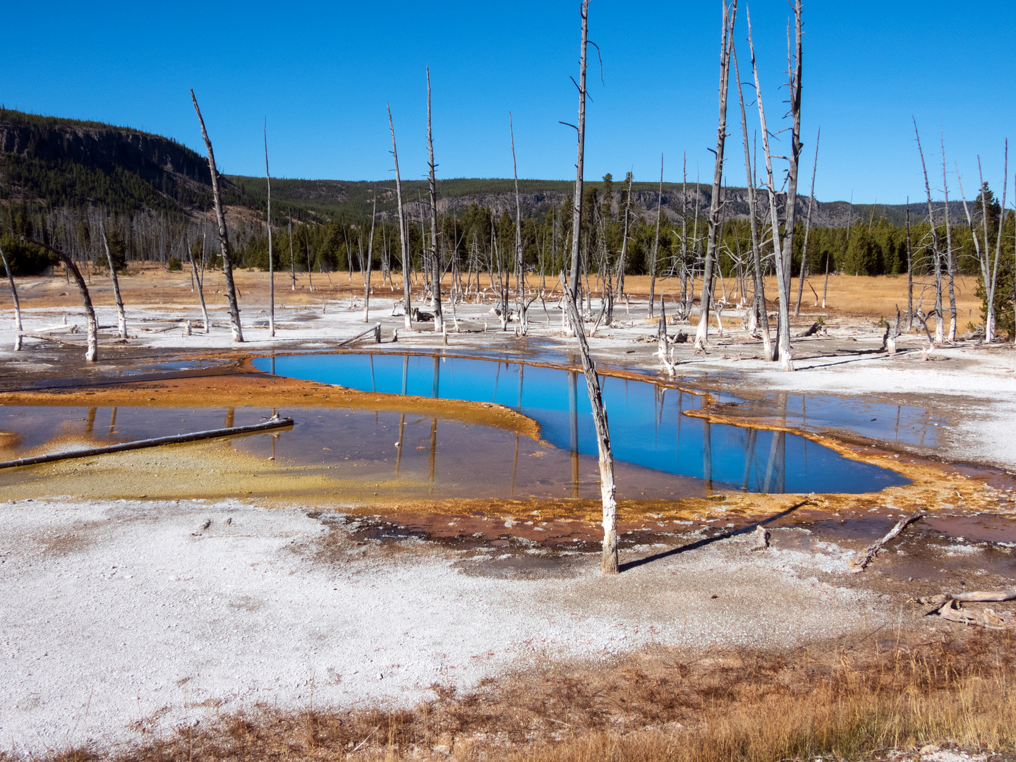 Yellowstone im Oktober