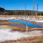 Yellowstone im Oktober