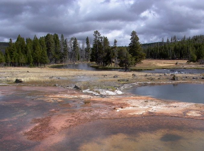 Yellowstone im September, Bild 10