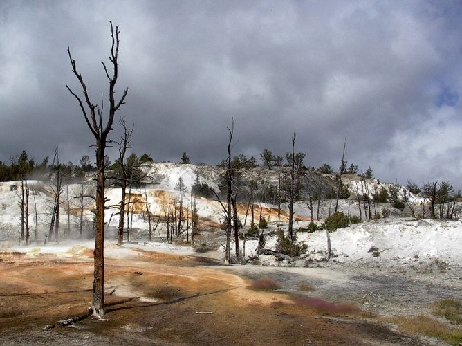 Yellowstone im September, Bild 2