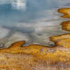 Yellowstone Impressionen