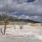 Yellowstone - Kalkterrasse -