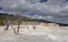 Yellowstone - Kalkterrasse -