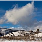 Yellowstone Landscape