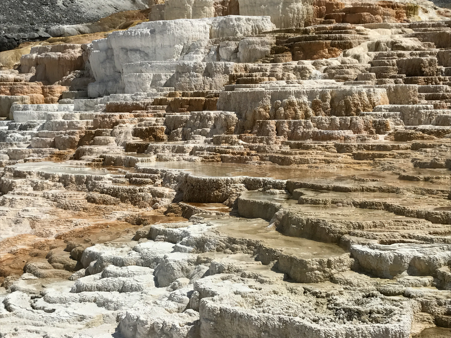 Yellowstone - Mammoth Hot Springs