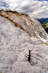 Yellowstone - Mammuth Hot Springs