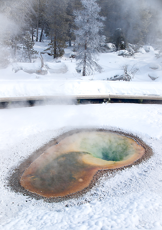 Yellowstone Mineral Pool